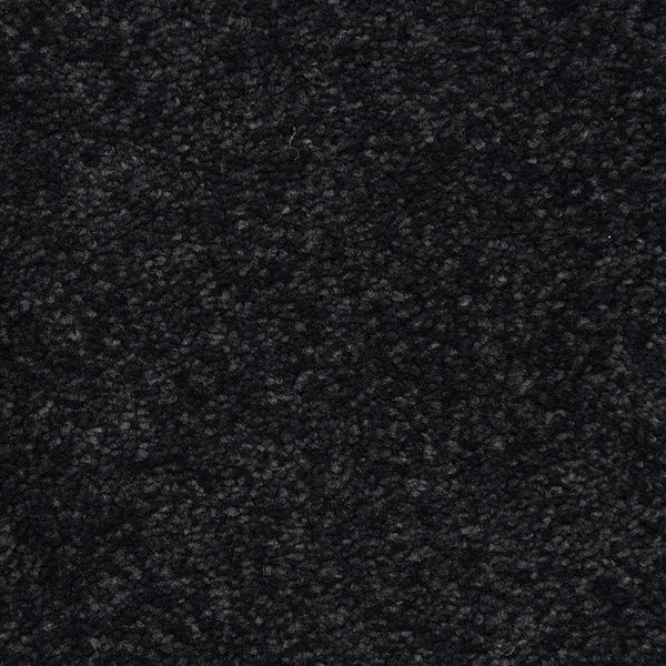 Morgan Bay Carpet - 9550-764