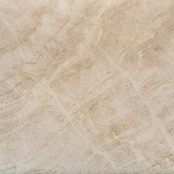 Natural Quartzite Countertop - Q705SLVARIAPL2