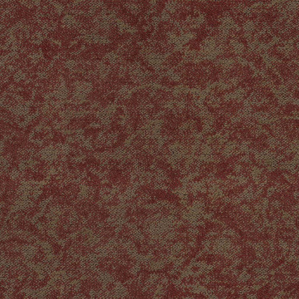 Coast Carpet - 9671-377