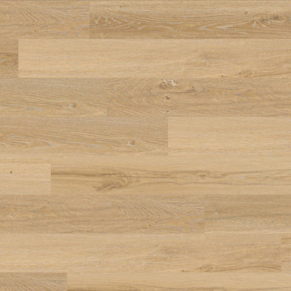 Everest Laminate - 31104