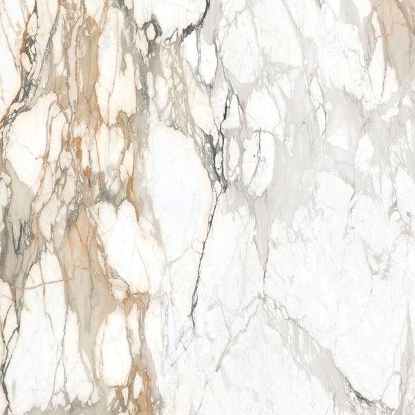 Multi-Color Glossy Slab Tile - CM82SL64127GL12B