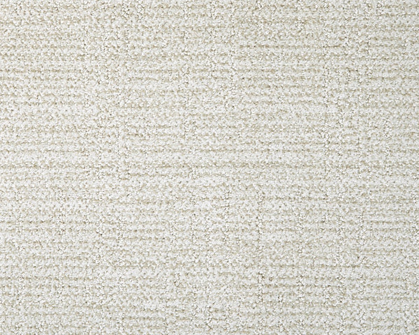 Nueva Vista Carpet - 9647-212